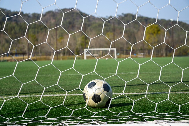 不懈的努力 不懈的努力